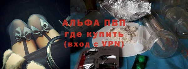 стафф Кодинск