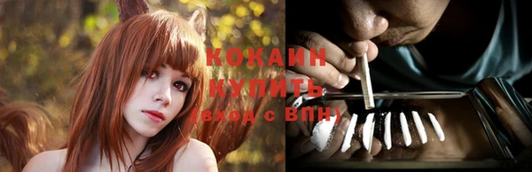 стафф Кодинск