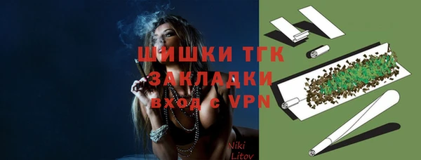 стафф Кодинск