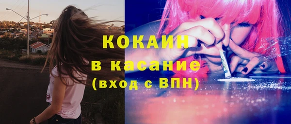 стафф Кодинск